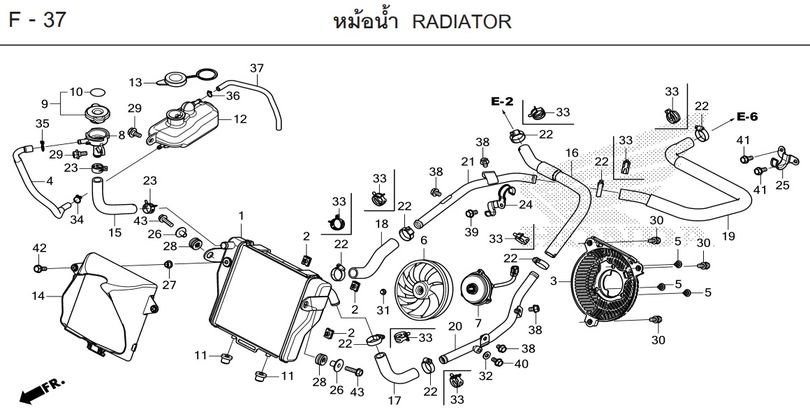 F-37 RADIATOR