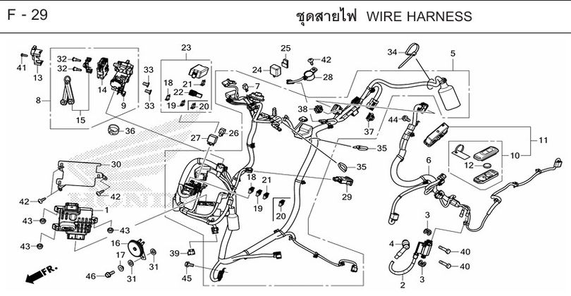 F-29 WIRE HARNESS