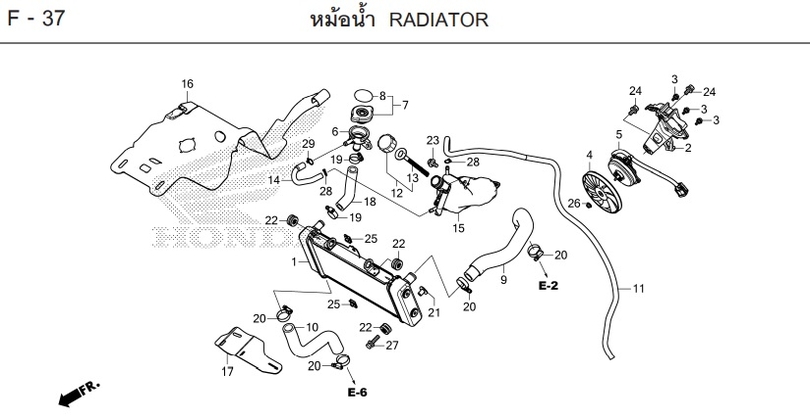 F-37 RADIATOR