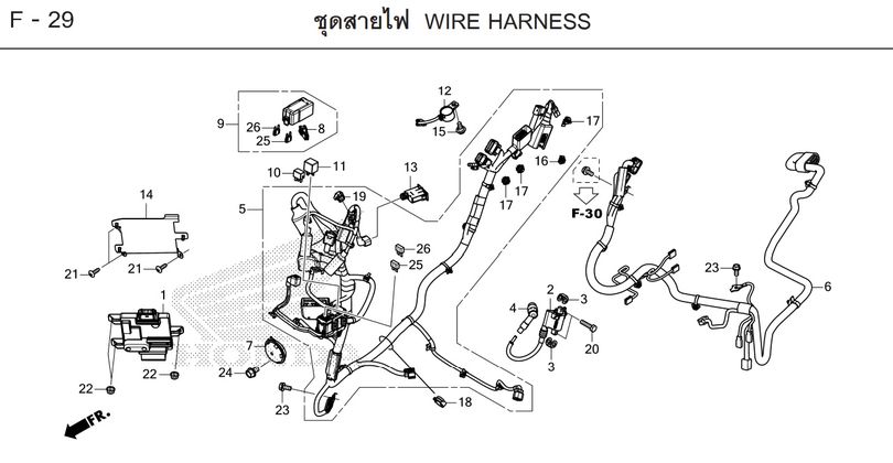 F-29 WIRE HARNESS