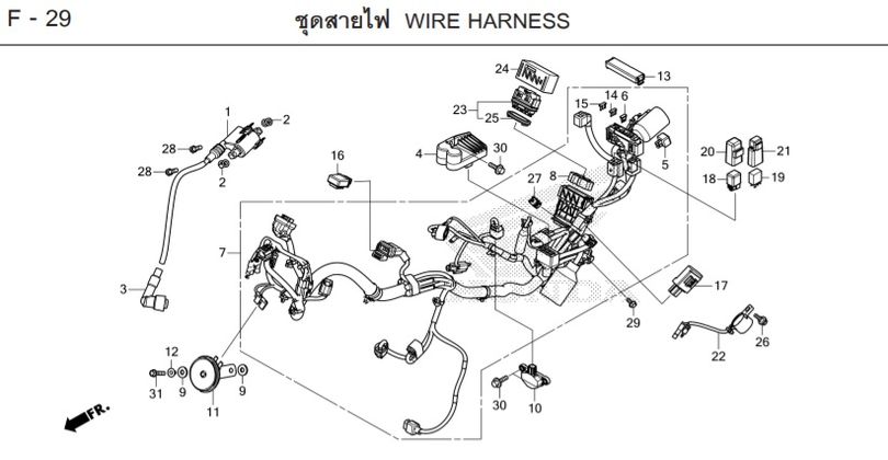 F-29 WIRE HARNESS