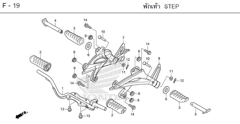 F-19 STEP