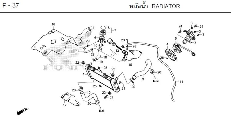 F-37 RADIATOR