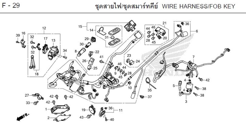 F-29 WIRE HARNESS/FOB KEY
