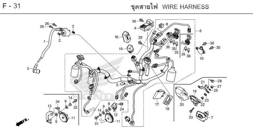 F-31 WIRE HARNESS