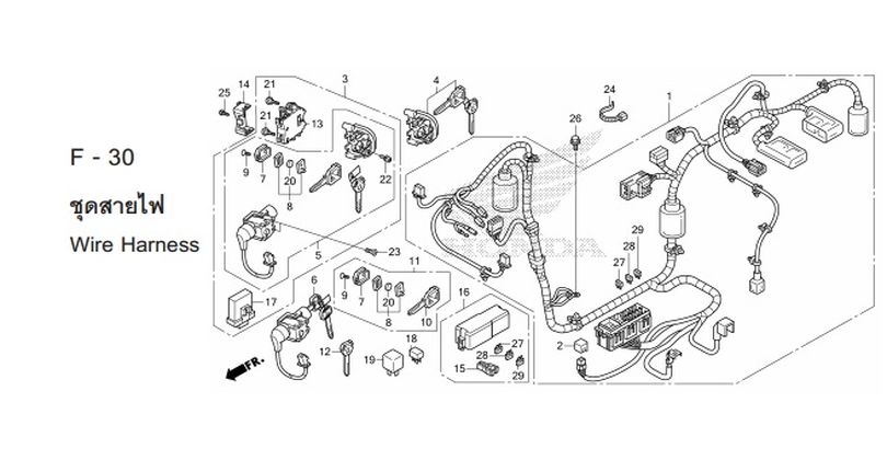 F-30 WIRE HARNESS