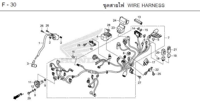F-30 WIRE HARNESS
