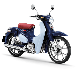 C125 2019