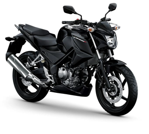 CB300FA 2014